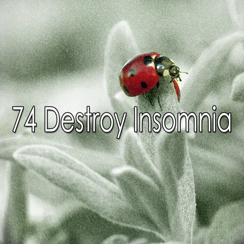 74 Destroy Insomnia