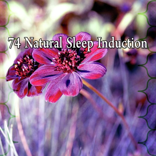 74 Natural Sleep Induction_poster_image