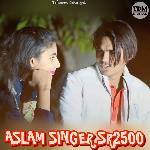ASLAM SINGER SR2500