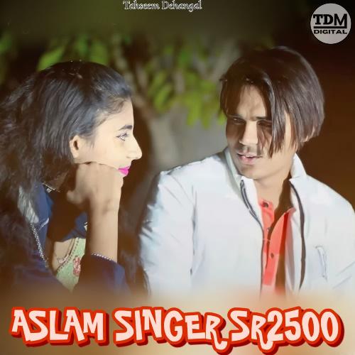 ASLAM SINGER SR2500