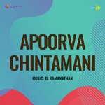 Apoorva Chintamani