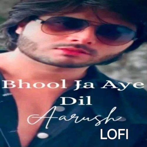 BHOOL JA AYE DIL (Lofi)