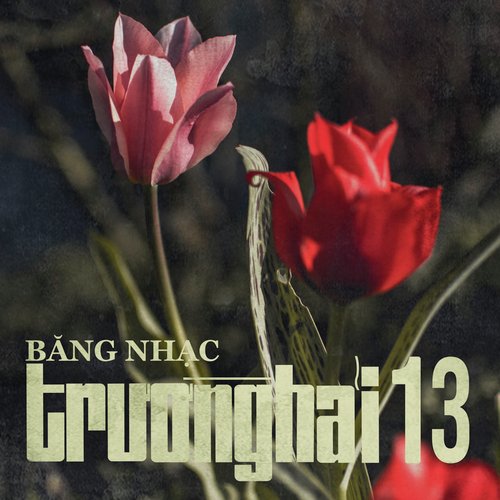 Chương Trình Khiêu Vũ - Trường Hải 13