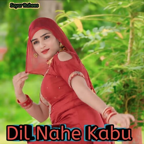 Dil Nahe Kabu