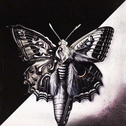 EXPANSION cover art
