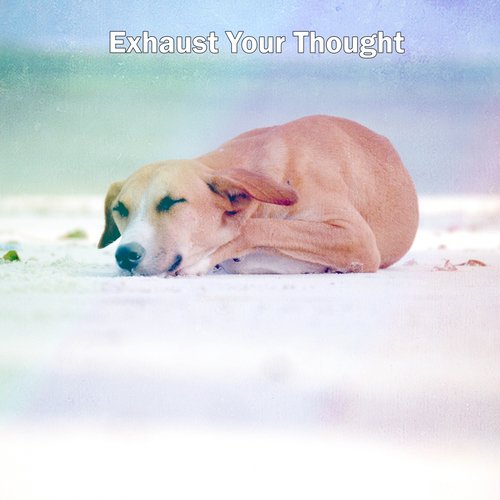 Exhaust Your Thought