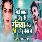 Gele Humra Chhod Ke Raniya Tora Chhod Debo Ge