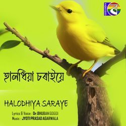 HALODHIYA SARAYE-SBJYZD5BfEk