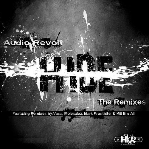 Hide (Moleculez & Audio Revolt Remix) cover art