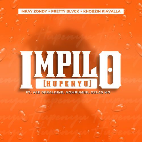 Impilo (Hupenyu)_poster_image