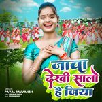 Java Dekhi Salo Hai Jiya