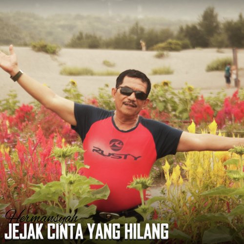 Jejak Cinta Yang Hilang_poster_image