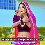 Kese Katenge Raja Baris Ke Dina