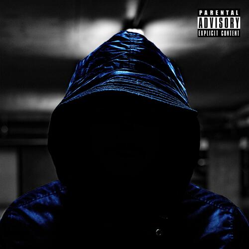 LA PLAQUETTE cover art