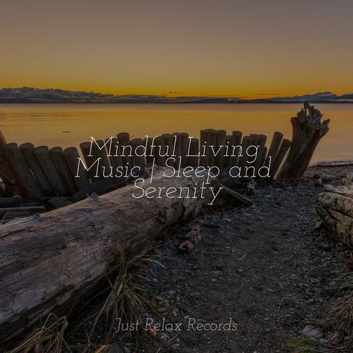 Celestial Deluge Dreams cover art