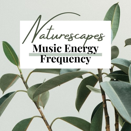Mindfulness Meditation cover art
