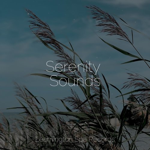 Serenity Sounds_poster_image