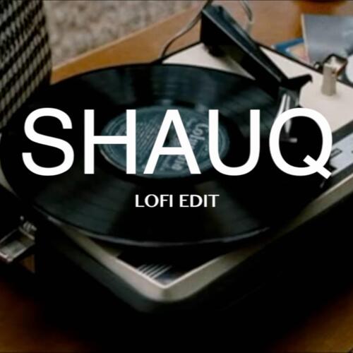Shauq Lofi (Radio Edit)
