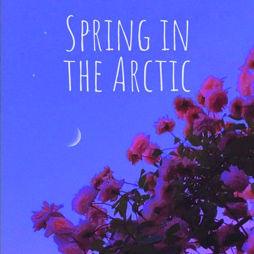 Spring in the Arctic