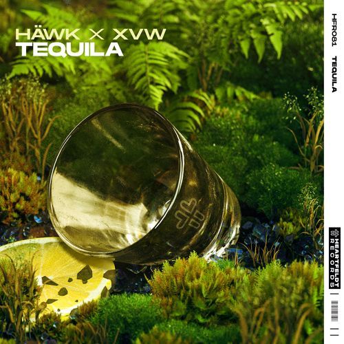 Tequila (Extended Mix) (Extended Mix)