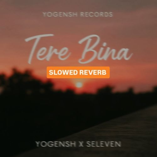 Tere Bina (Slowed Reverb)