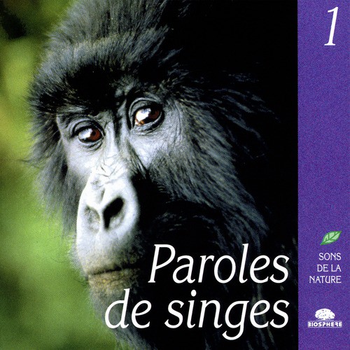 The Chattering Of Monkeys (Paroles De Singes)_poster_image