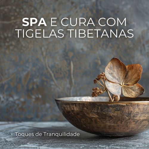 Toques de Tranquilidade (Spa e Cura com Tigelas Tibetanas)_poster_image