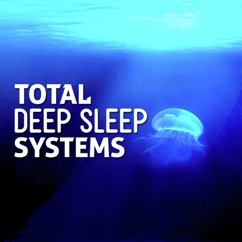 Total Deep Sleep Systems