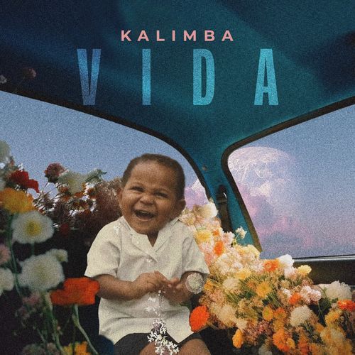 Vida