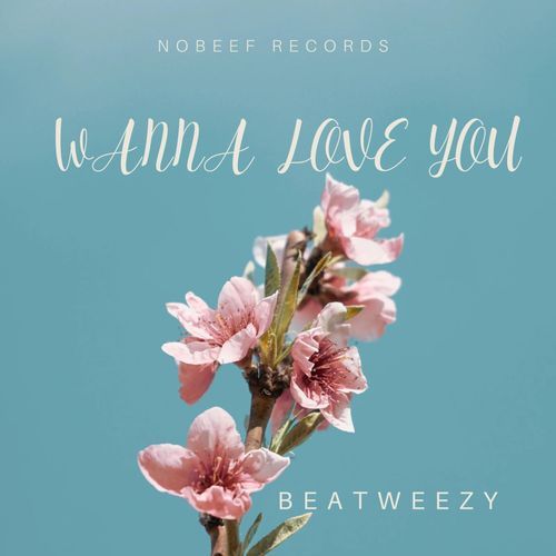 Wanna love you cover art