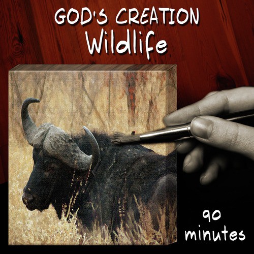 Wildlife (90 Minutes)