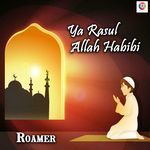 Ya Rasul Allah Habibi artwork