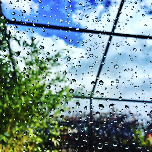 Echo Rains cover art