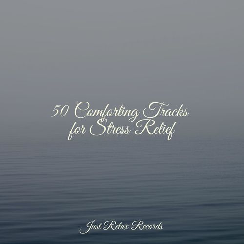 50 Comforting Tracks for Stress Relief