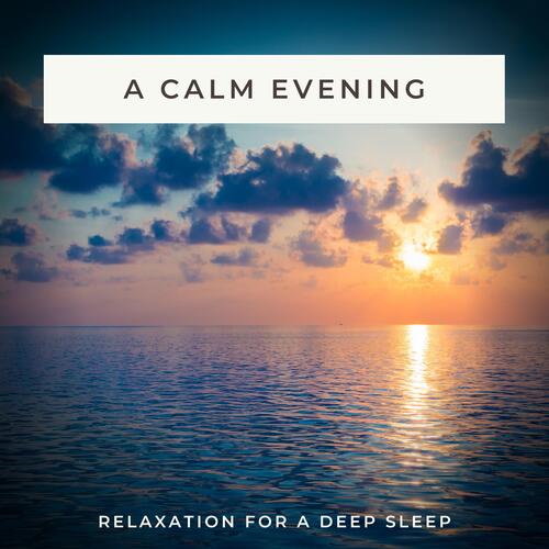 The Art of sleeping calm cover art