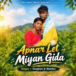 Apnar Let Miyan Gida