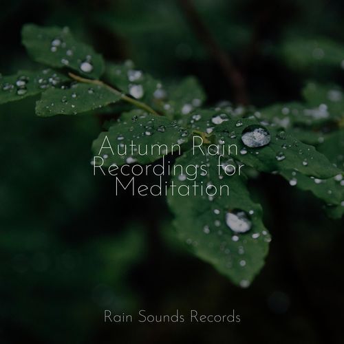 Autumn Rain Recordings for Meditation_poster_image