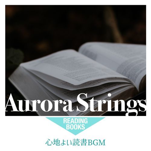 心地よい読書BGM