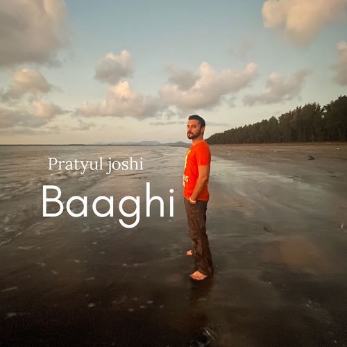 Baaghi