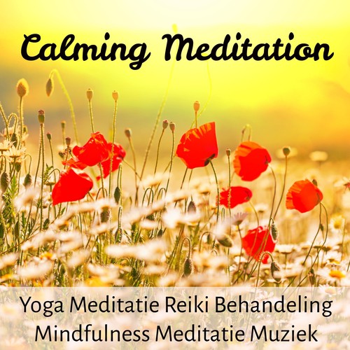 Calming Meditation - Yoga Meditatie Reiki Behandeling Mindfulness Meditatie Muziek voor Stress Verminderen Welzijn met Natuur Instrumentale Geluiden