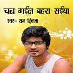 Chal Gail Bahara Saiya