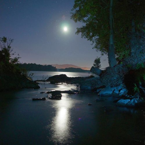 Cricket Song on a Small River Shore