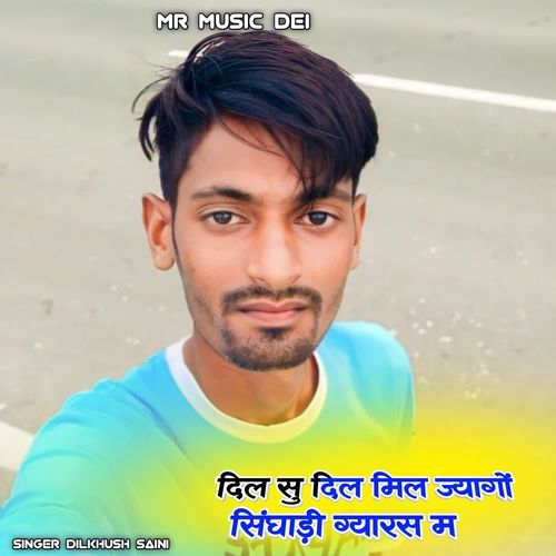 Dil Su Dil Mil Jyago Singadi Gyarsh M