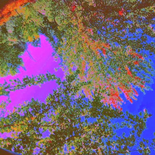 flume free album download flume free album download