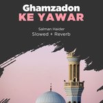 Ghamzadon Ke Yawar Lofi artwork