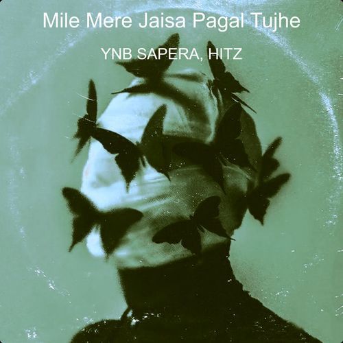 Mile Mere Jaisa Pagal Tujhe