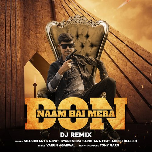 Naam Hai Mera Don (Dj Remix)