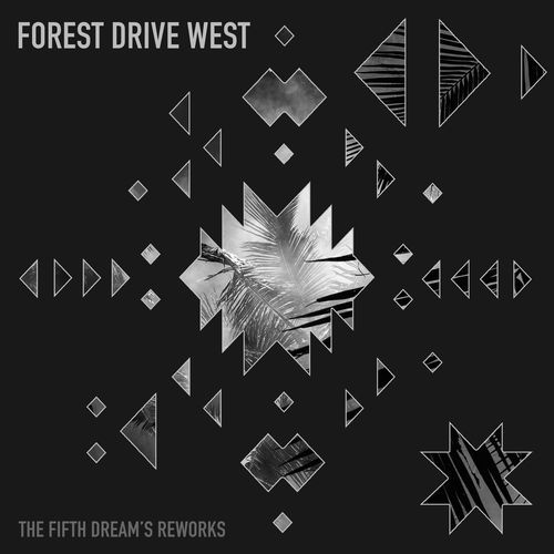 Night in Palmtree (Forest Drive West Rework) cover art