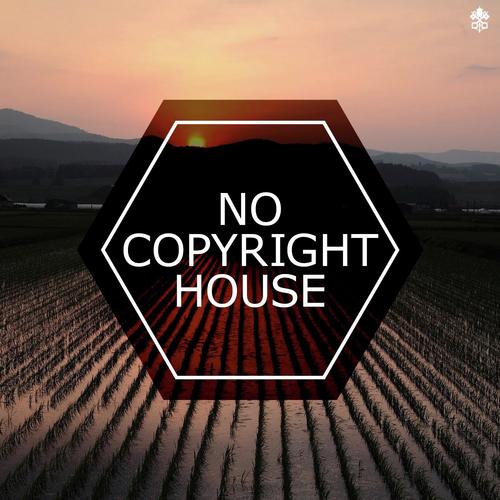 No Copyright House