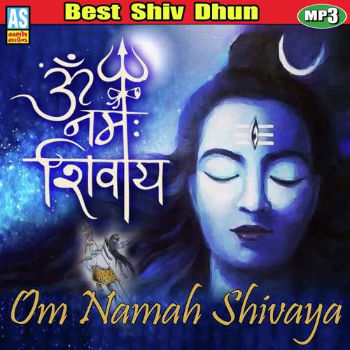 Om Namah Shivay